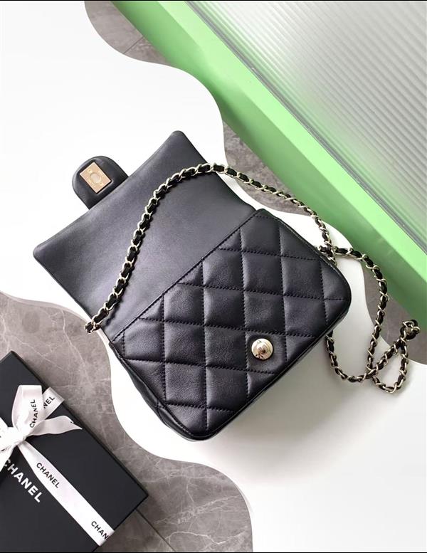 2026131214319679 560